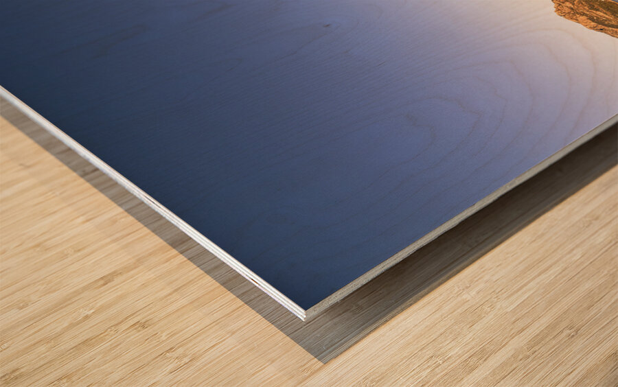 Coles Bay Tasmania Wood print