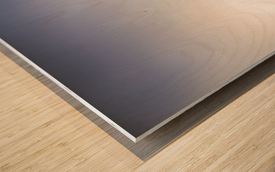 Wild West Shoreline Wood print