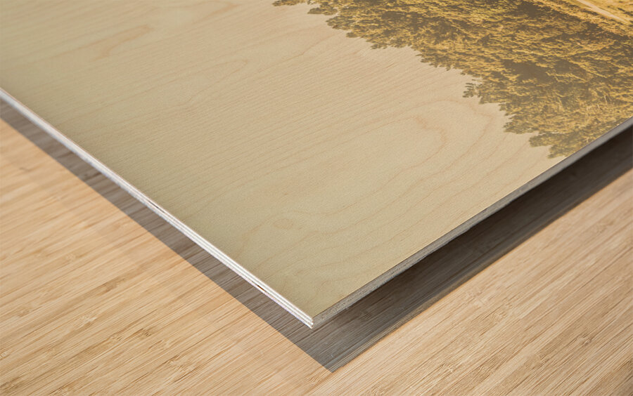 Empty curved gravel road in Tasmania Australia Wood print