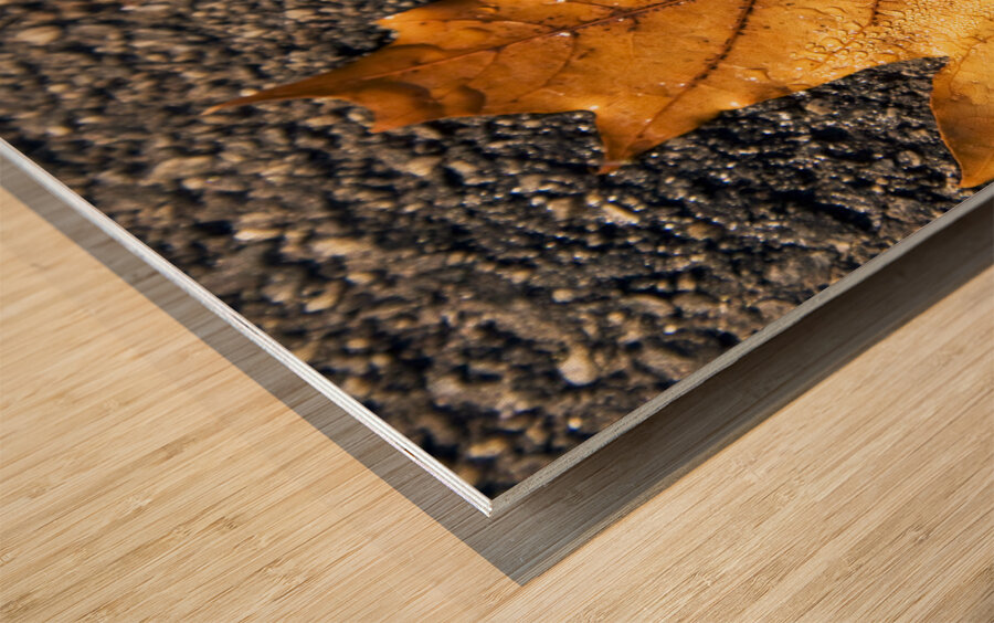 The Fall Of Autumn Wood print