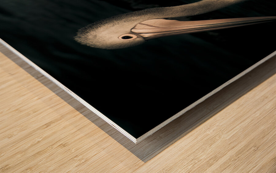 Twilight Pelican Wood print