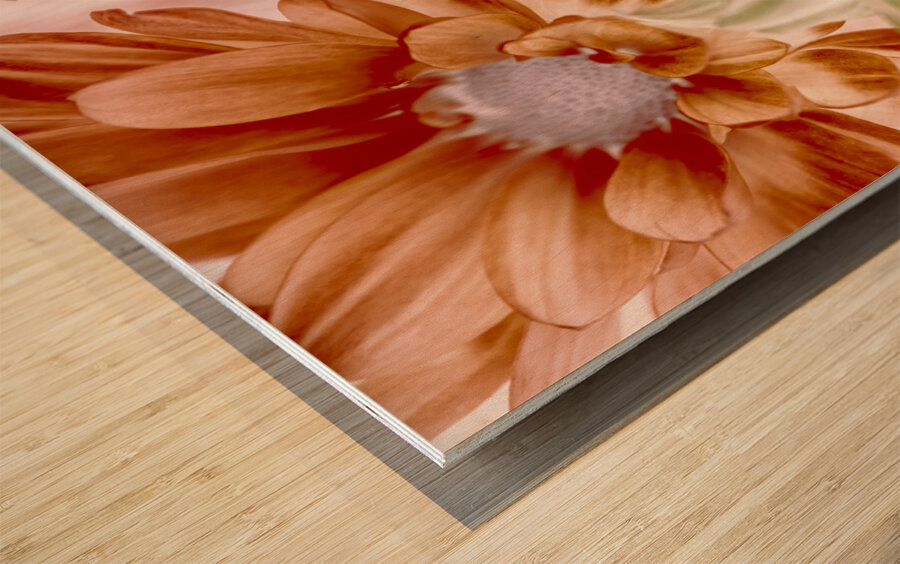 Chrysanthemum creativity Wood print