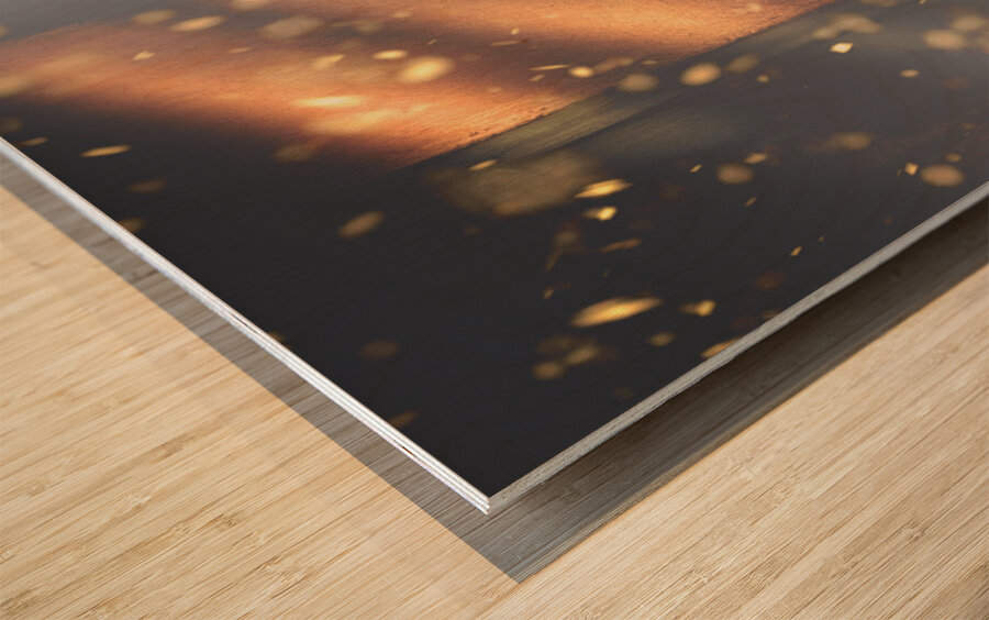 Brave the cold Wood print