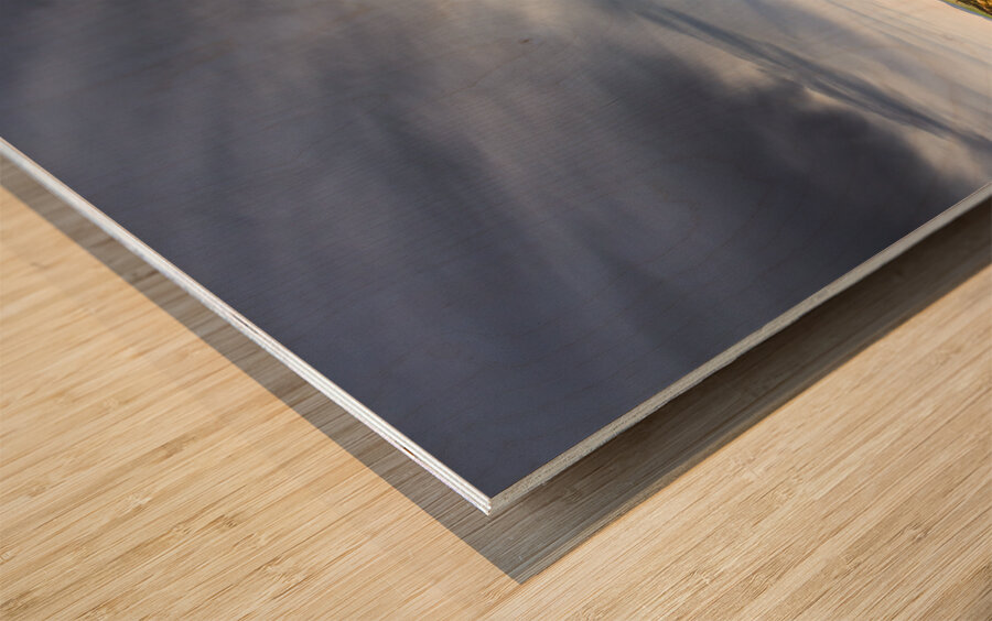 Australian natural wonders Wood print