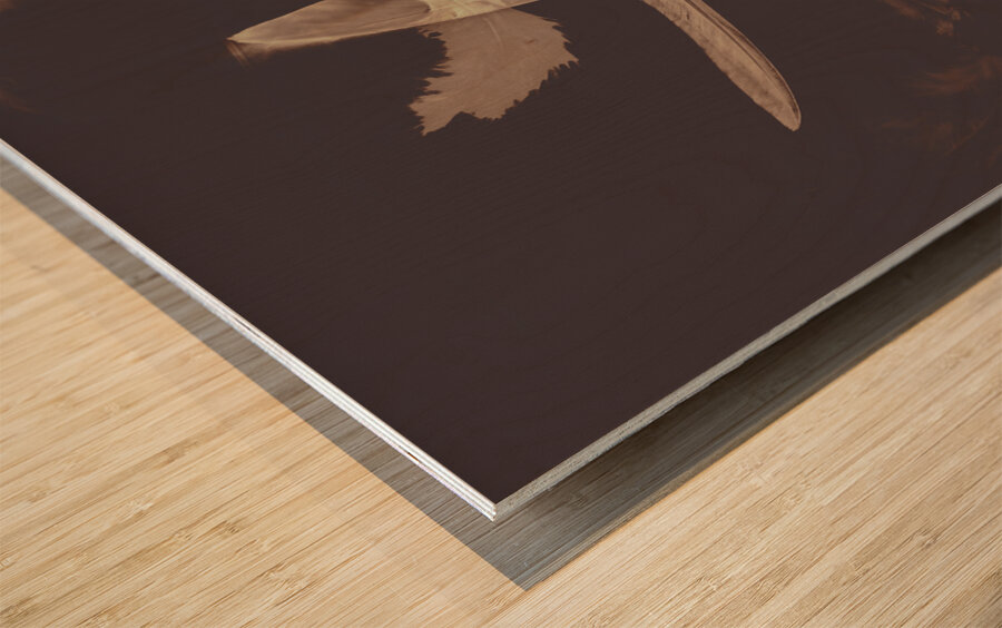 Writers guild abstract Wood print