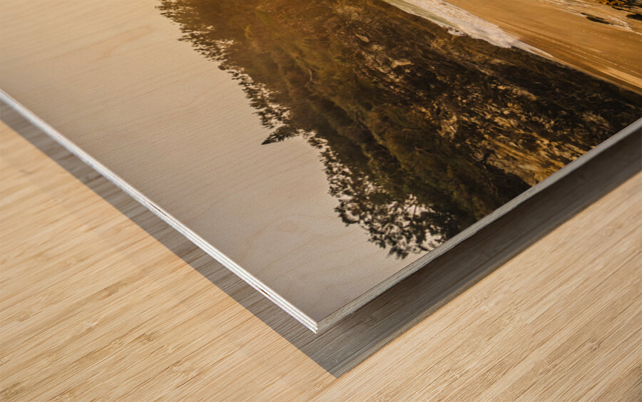 Golden seascape Wood print