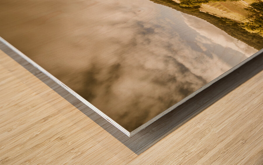 Cygnet rustic farming fields Wood print