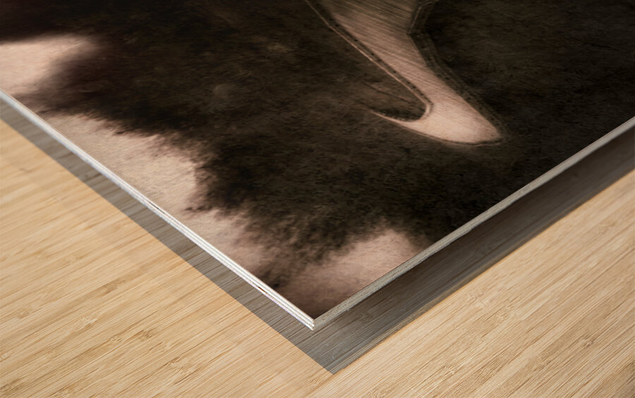 Forest Of Darkness Wood print