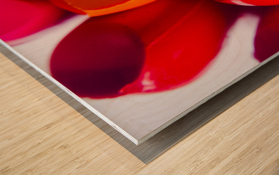 Glossy beauty products Wood print