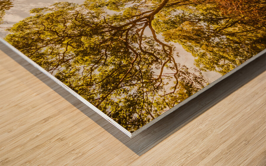 Nth Stradbroke Is. Wood print