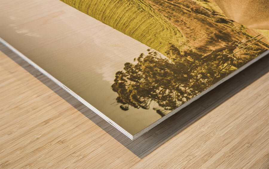 Fielded adventure Wood print