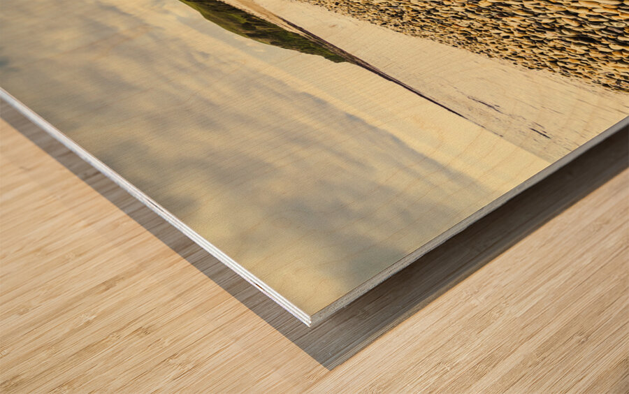 Lillico Beach Tasmania Wood print