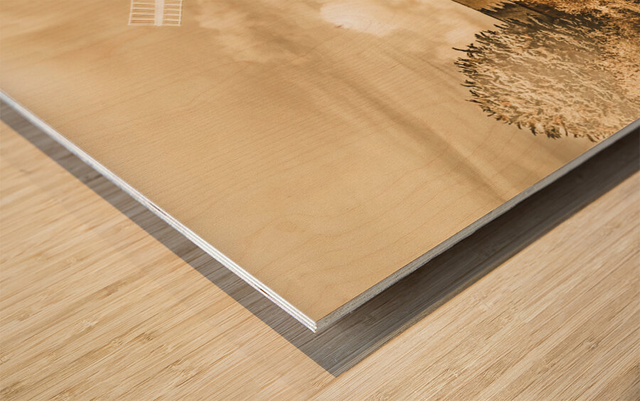 Australian antique flour mill Wood print