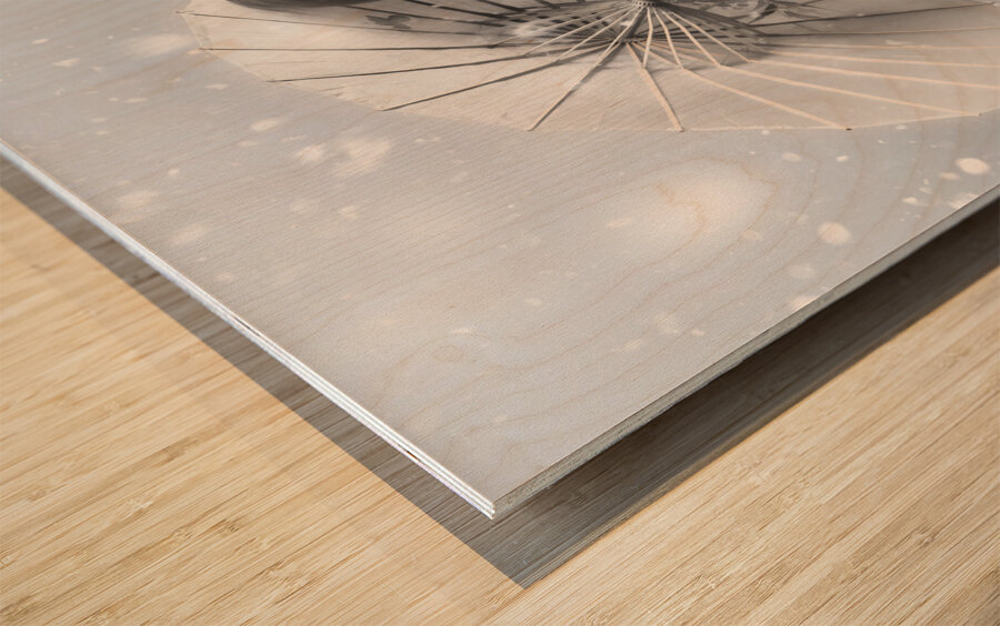 Melancholy of infinite sadness. The white vampire Wood print