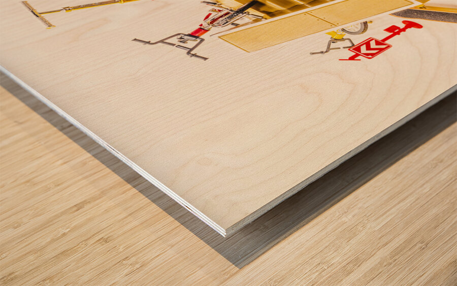 Still skating Wood print