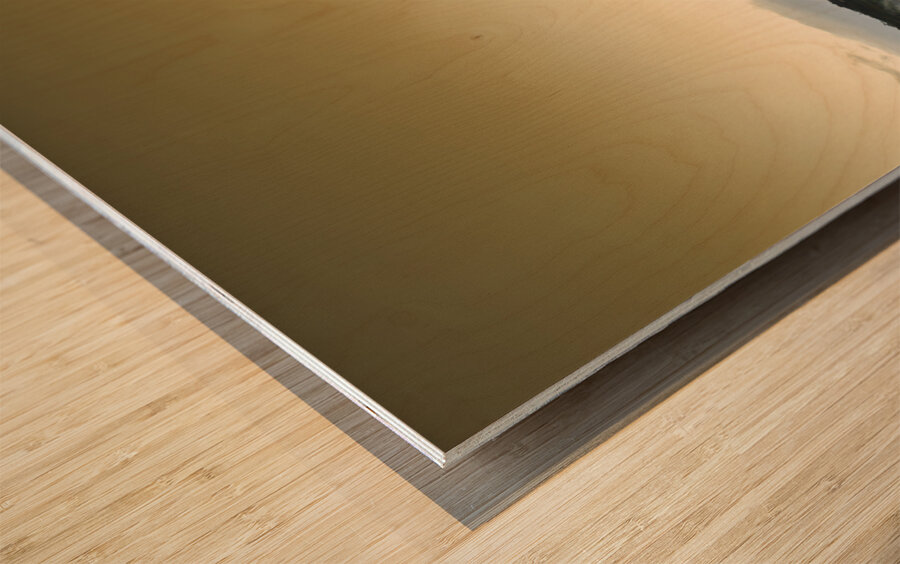 Waratah morning landscape of Mount Bischoff Valley Wood print