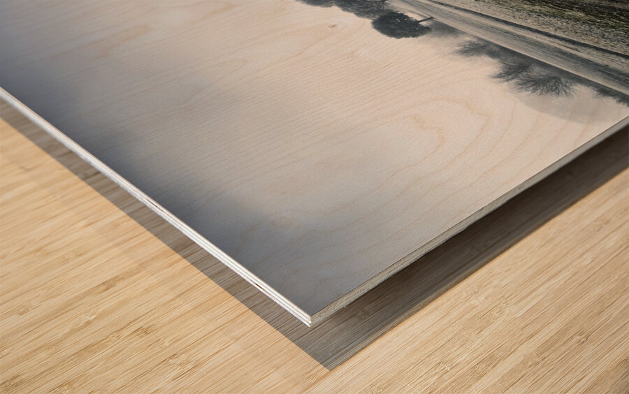 Cold blue winter road Wood print