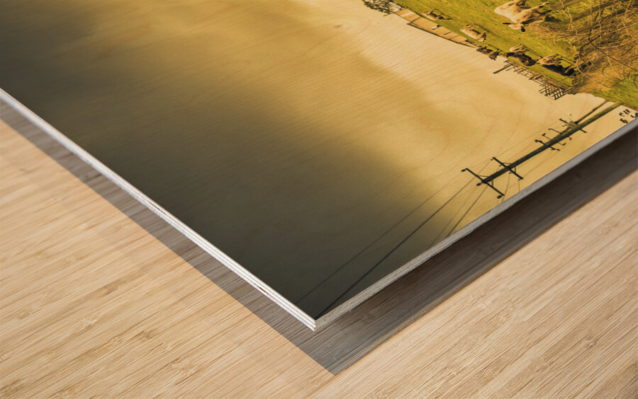 Colourful Australian cattle station Wood print