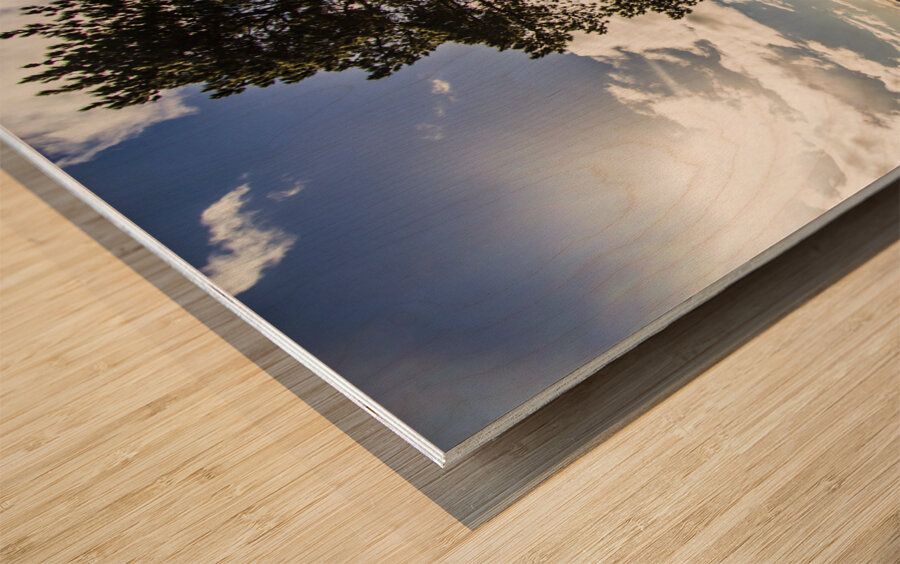 Rugged seascape Wood print