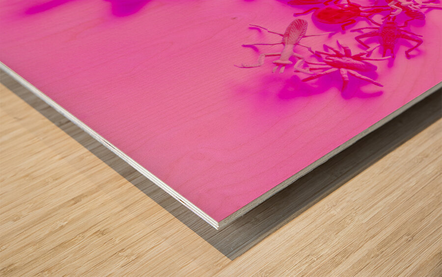 Love bug pop heart Wood print