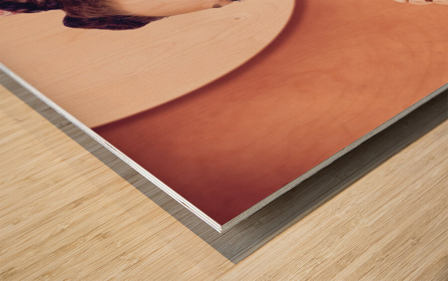 Retro pin up pop art. Soda girl from 1950 Wood print