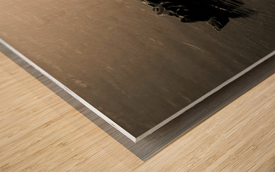 Silhouetted Wood print