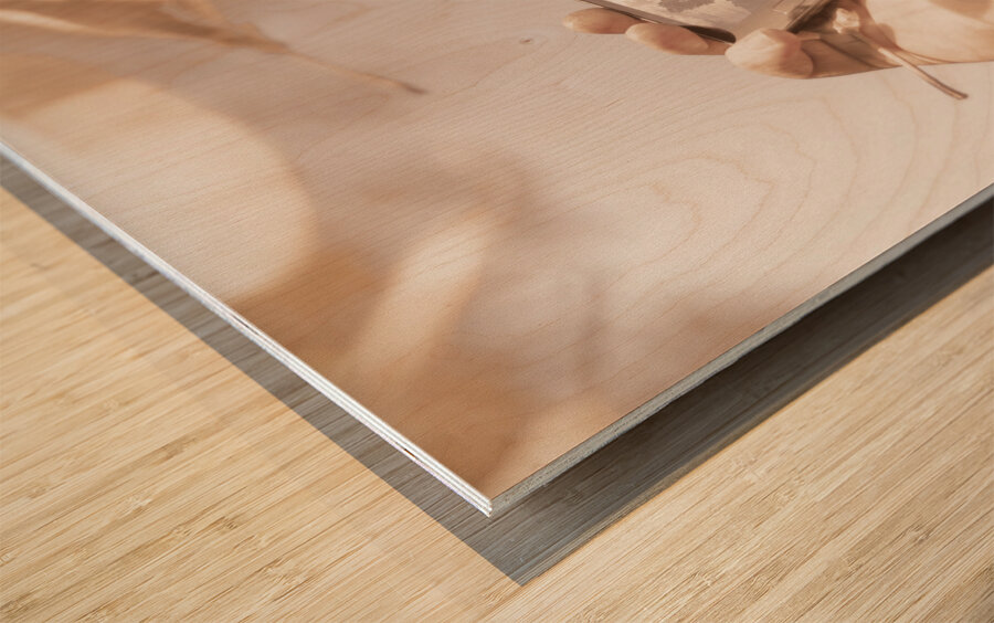 Smart phone catching a serene autumn landscape Wood print