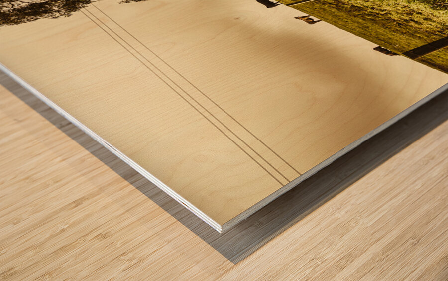 Tasmanian Country Farm Details Wood print