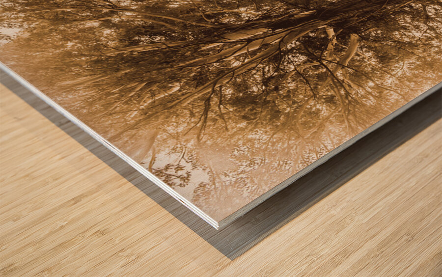 Old farmstead shack Wood print