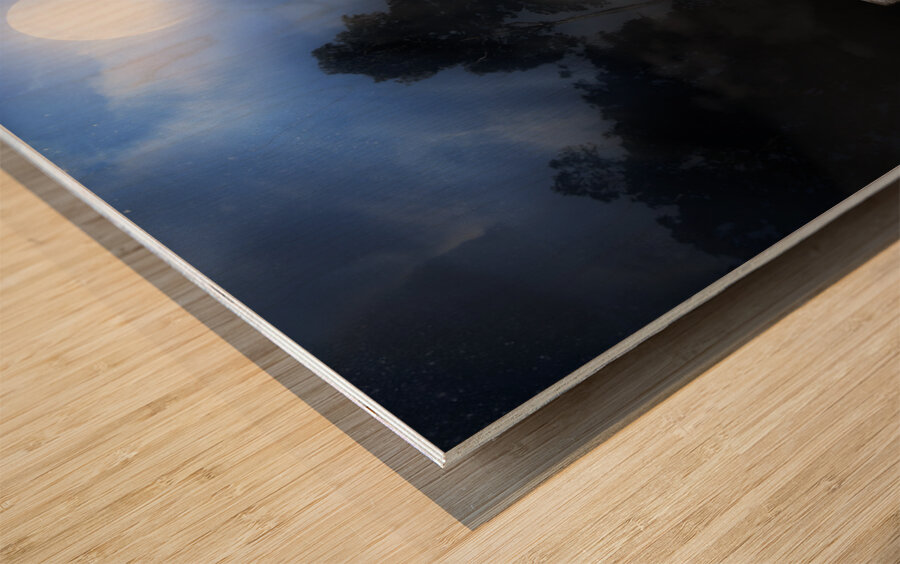 Vintage Beauty In Nature Wood print