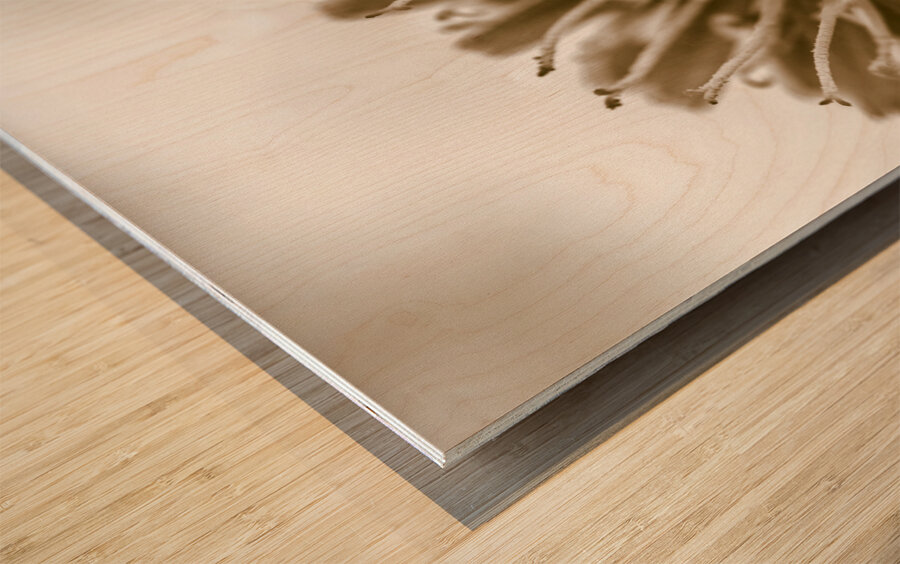 Beige n bloom Wood print