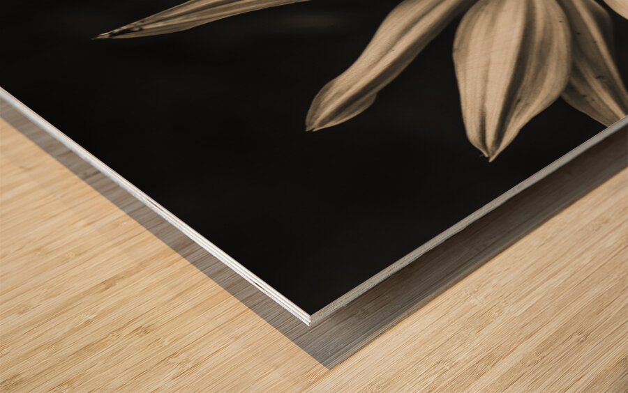 Floral elegance Wood print