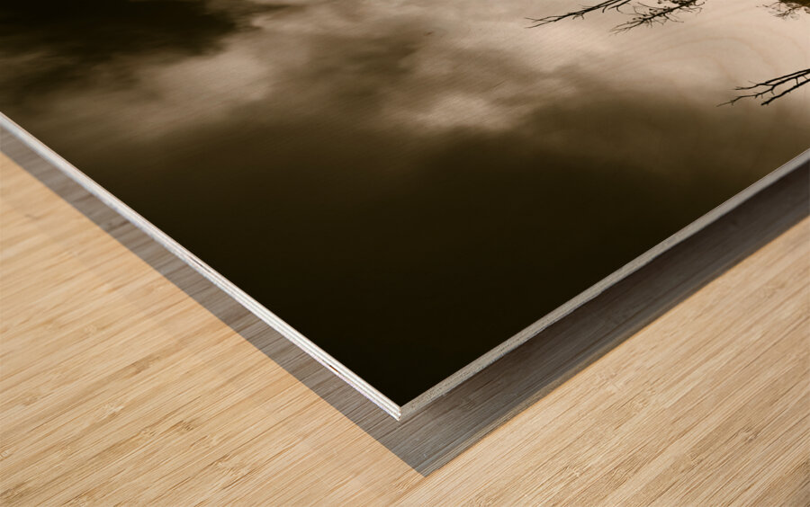 Beauty and barren bushland Wood print