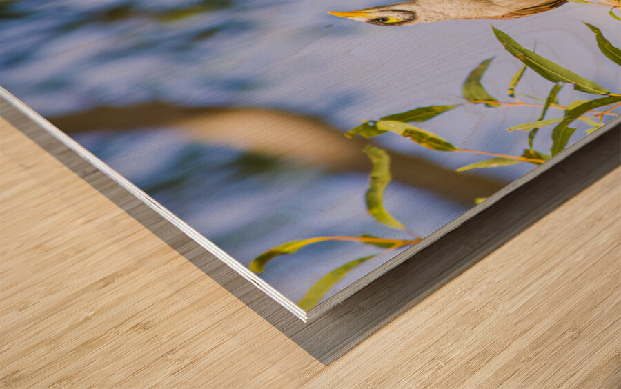 Noisy Minor Wood print