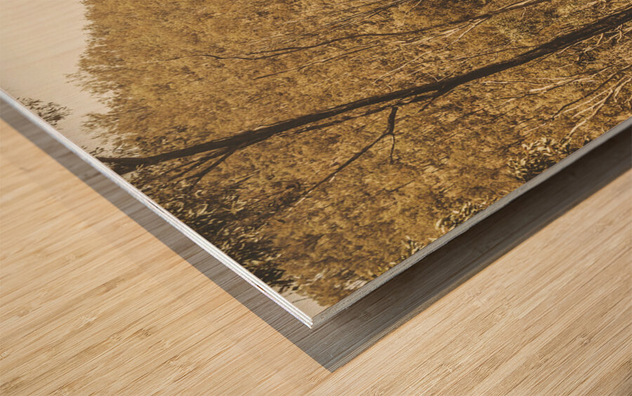 Vintage hillside Wood print