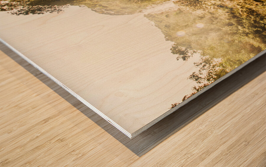 River Rush Wood print