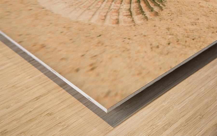 Pastel pacific Wood print