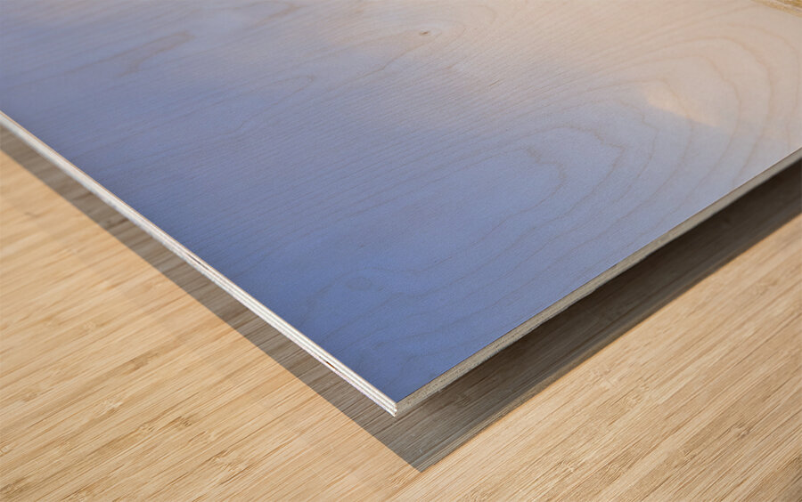 Fairytale winter in Fingal Wood print