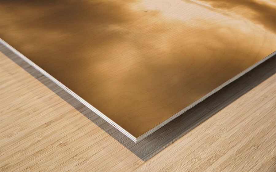 Light of dusk Wood print