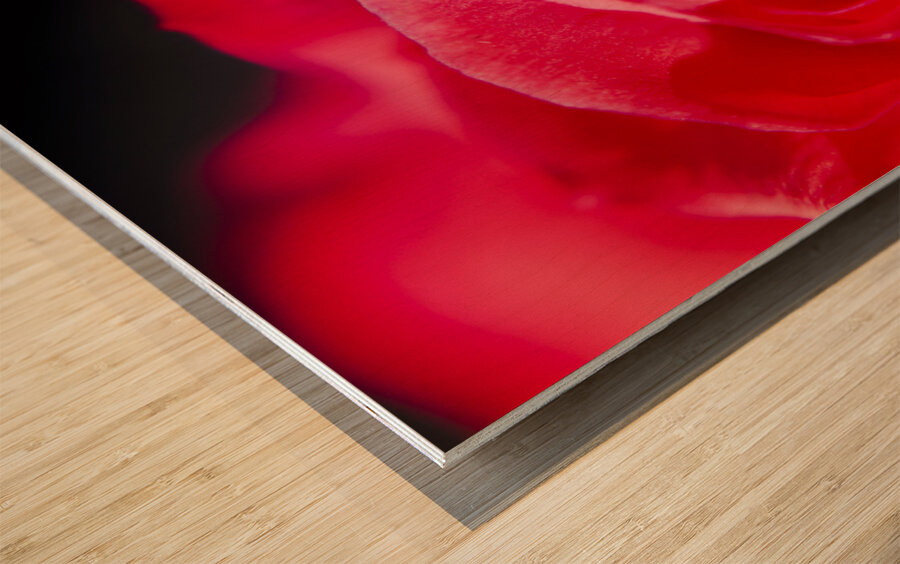 Intimate details Wood print