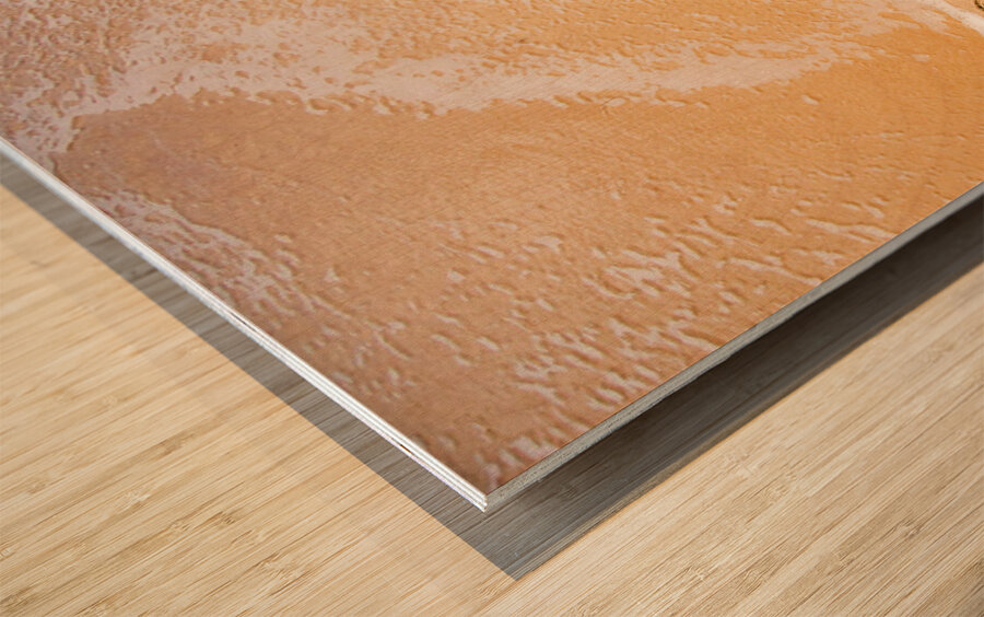 Australian Shoreline Wood print