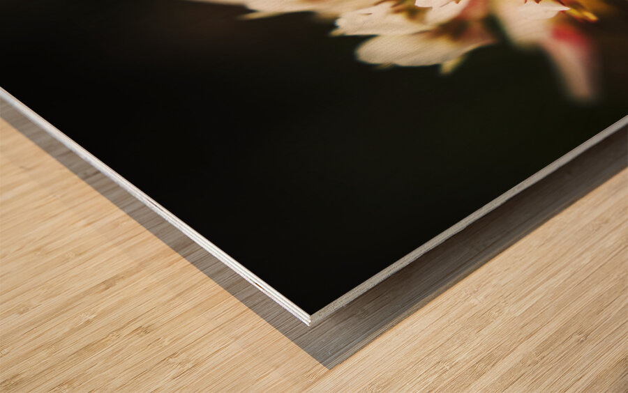 Wild darkness Wood print