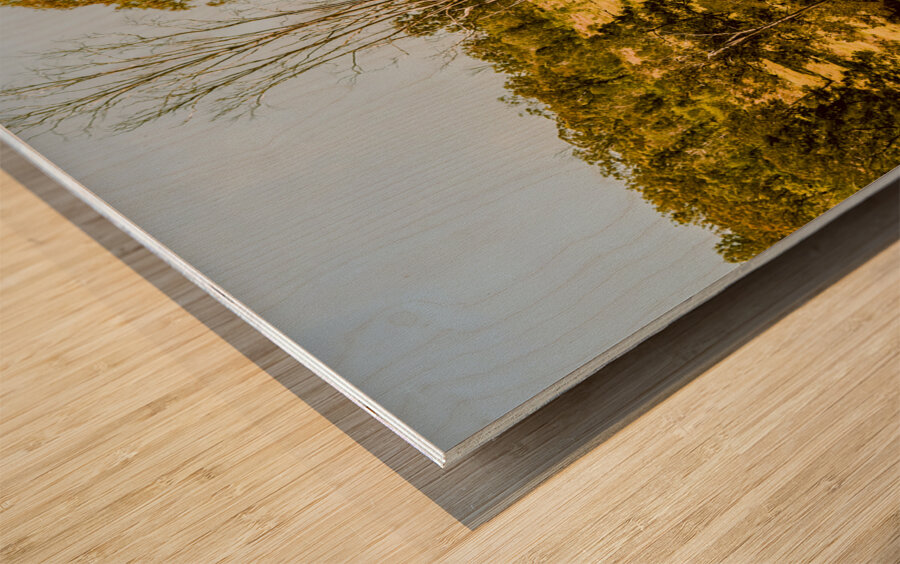 Bucolic backroads Wood print