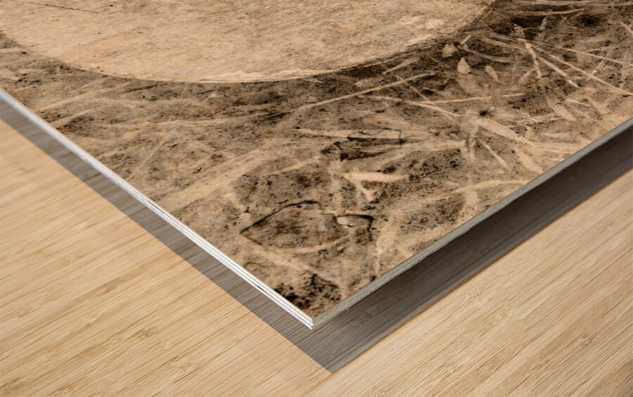 Traditional grass hockey Wood print