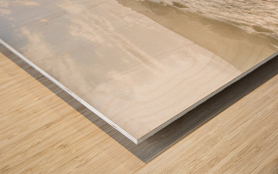 Pristine Tasmanian coast Wood print