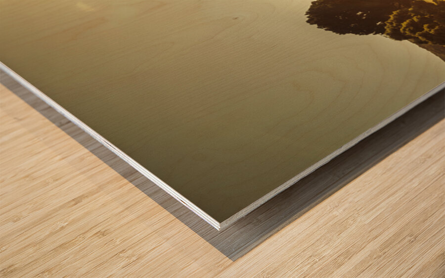 Zeehan Golf Course Wood print