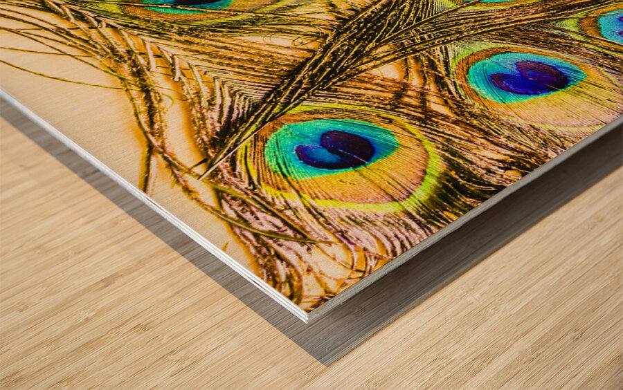 Peacock feathers still life Wood print