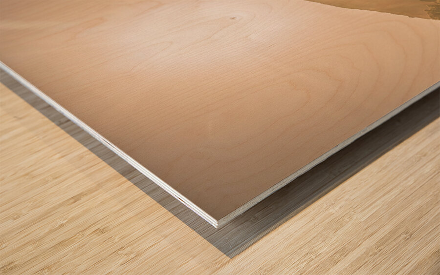 Fields of springtime Wood print