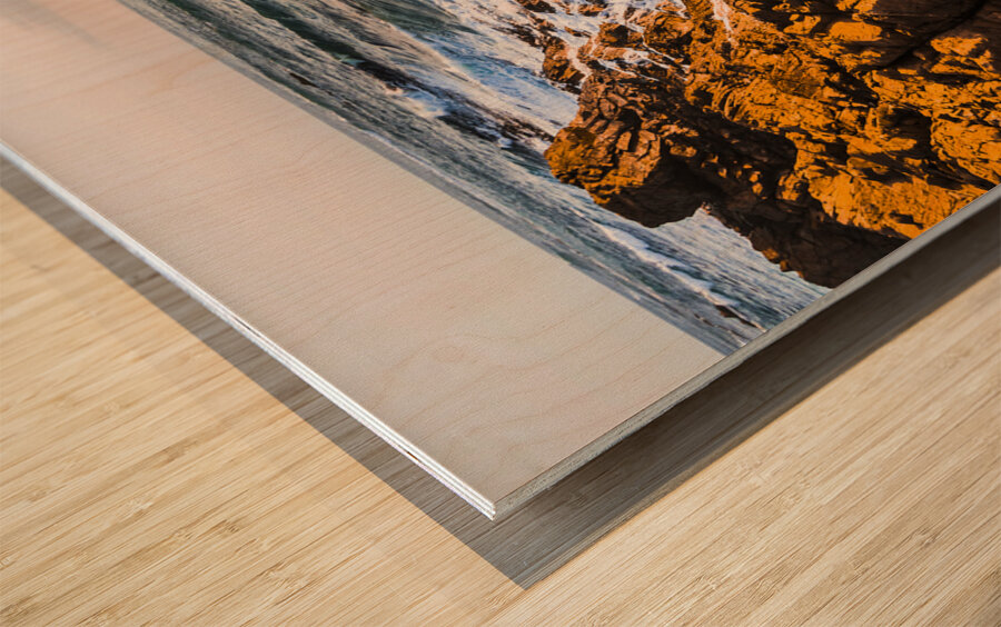 Splash of colour Wood print