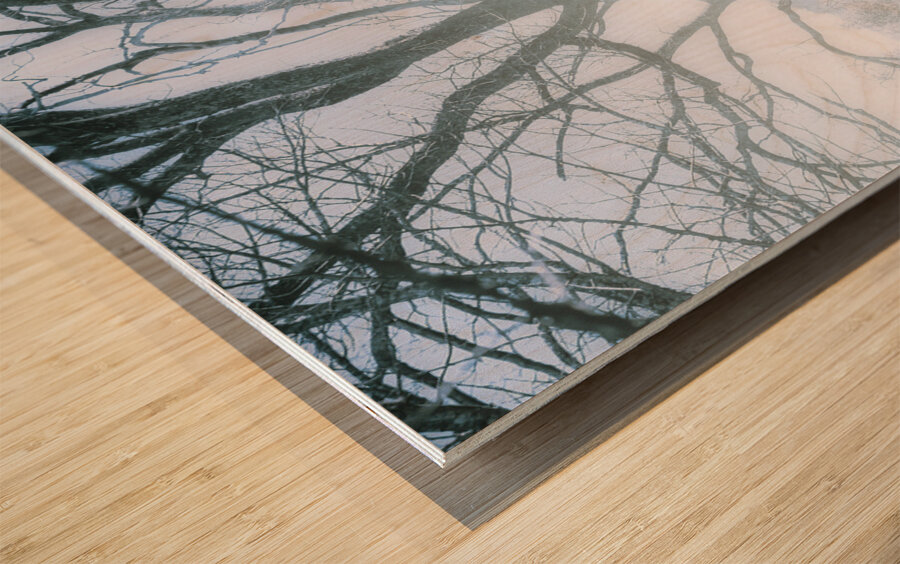 Tree of frost bite Wood print